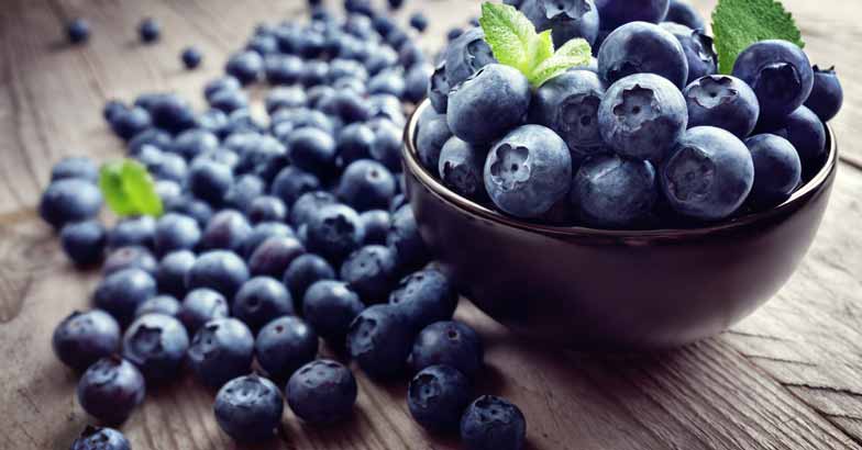 അർബുദചികിത്സയിൽ ബ്ലൂബെറി | Blueberry ...